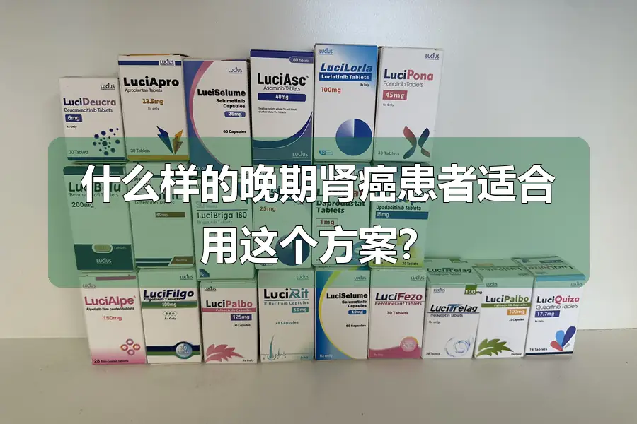什么样的晚期肾癌患者适合用这个方案?
